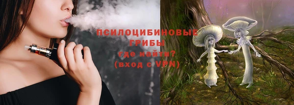 стафф Алзамай