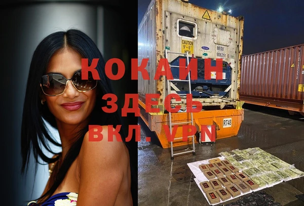стафф Алзамай