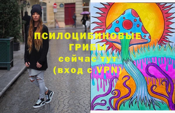 стафф Алзамай